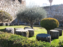Jardines de la Alcazaba (Mérida)